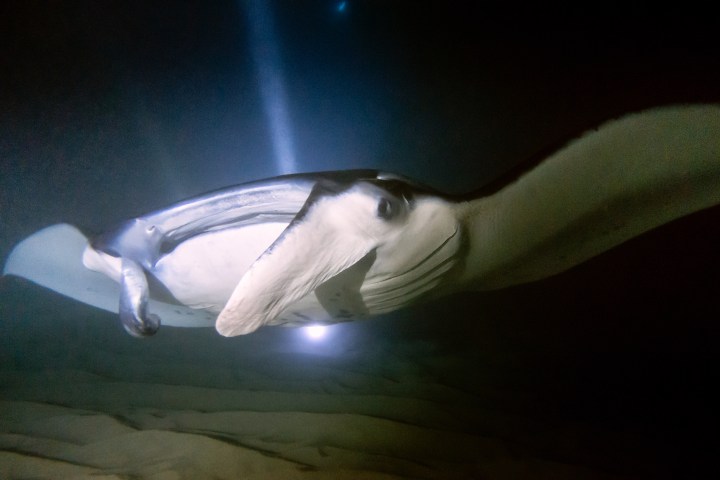 a person in a dark room
