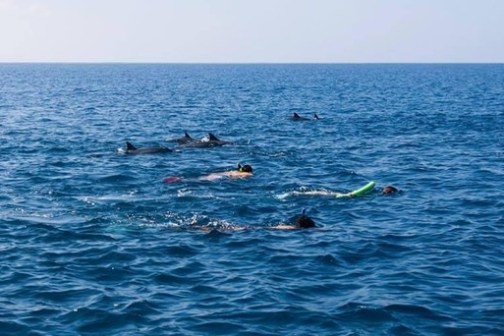 a person swimming in a body of water