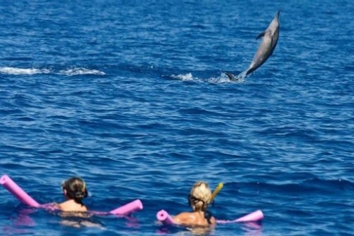 a group of people swimming in a body of water