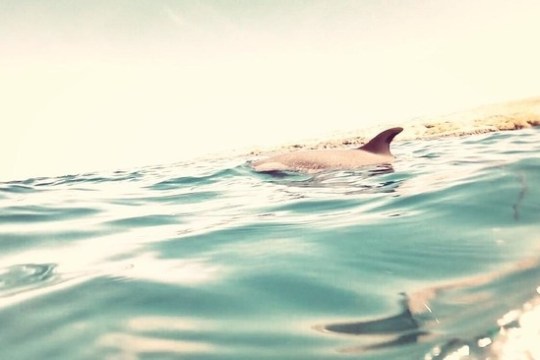 a body of water